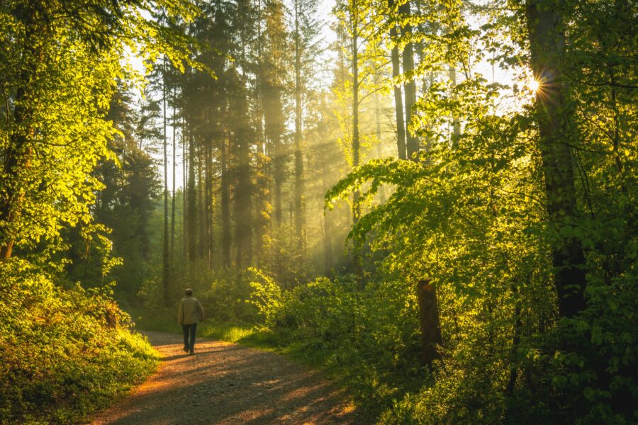 Marcher ou courir  ?