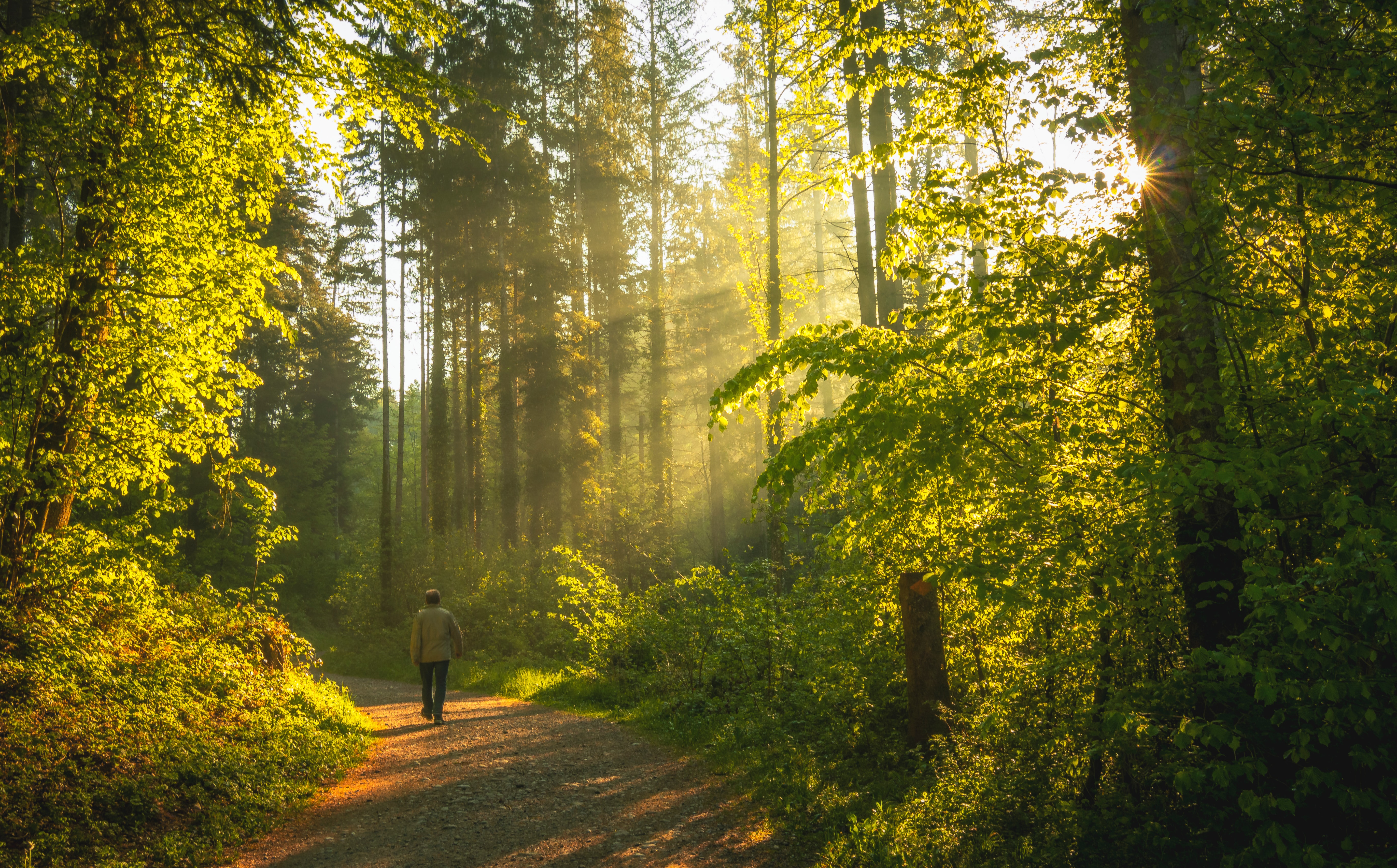 Marcher ou courir  ?